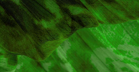 Green cloth. Silk fabric in fine organza with panther print, Crumpled texture. Background. Template.の写真素材