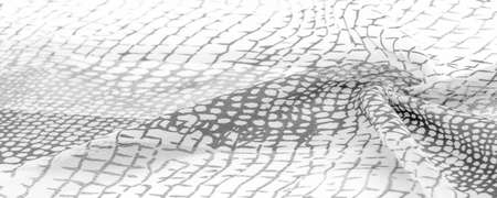 python skin silk fabric, white and black pattern, african theme, fark, sable, ebon, smutty Texture. Background.の写真素材