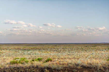 prairie, a steppe ecosystem considered part of grassland, savannah, and shrub biome according to ecologists, based on a similar temperate climate, moderate rainfall and grass composition,の写真素材
