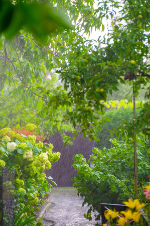 Refreshing and revitalizing experience Nature's beauty at its peak A peaceful and calming atmosphere