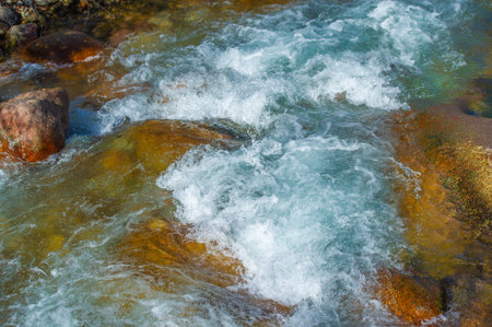 Feel the tranquility of nature through stunning photographs. Capture the beauty of flowing water and...