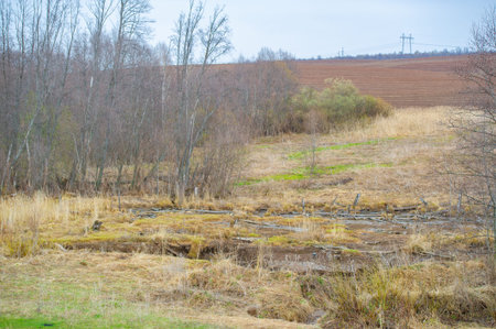 Preparing the soil for future growth. A thoroughly plowed field, ready for sowing seeds. Fertile...