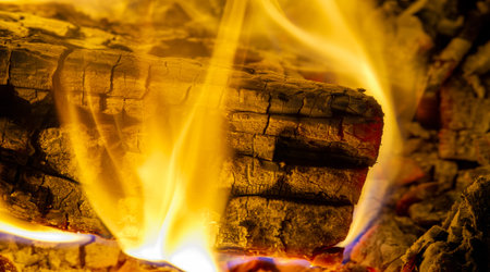 Fire in the fireplace. There is something very romantic about a real fire, but why? We guess why we...