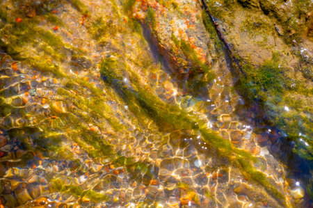 Immerse yourself in the pristine wilderness of a mountain stream. Enjoy rhythmic dance and soothing...