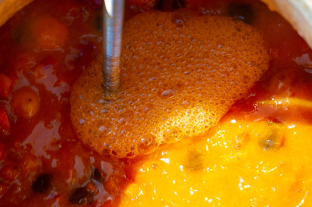 Fresh apricots are used to make must and apricot liqueurs. Ideal for making homemade jams, desserts...