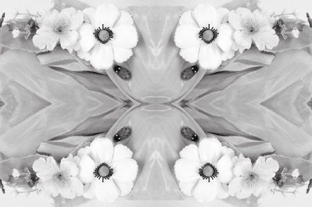 seamless. the black and white colors of the fabric are inlaid with flora and fauna.の写真素材