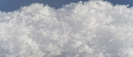 Snow covering the ground, trees, grass. I wonder if snow loves trees and fields, what kisses them so...