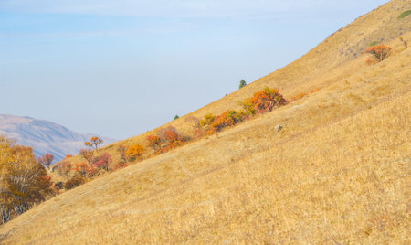 Enjoy the amazing creation of the autumn mountains. Witness the colorful foliage framing the towering peaks and picturesque landscape. Immerse yourself in the magic of natureの写真素材