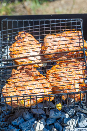 A popular choice for barbecue lovers. Tender and juicy pork, perfectly grilled. Spicy taste with a crispy crust. Perfect for a backyard picnic and summer get-togethersの写真素材