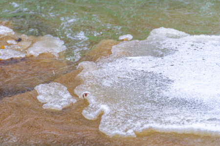 The river freezes in winter. In winter, the river turns into a real wonderland, and if you have...