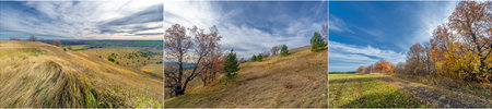 The autumn season brings a stunning display of yellowing leaves The golden season represents the...