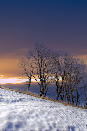 Fields with surrounded grass create a peaceful and serene landscape. Trees without leaves add a feeling of bareness and vulnerability. snowfall hints at the transition from winter to spring.の写真素材