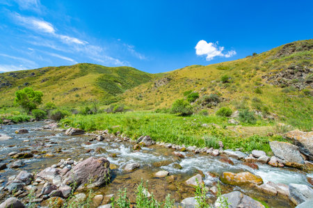 Enjoy the mesmerizing beauty of nature. See how the river gracefully flows through the rocky canyon. Feel the peace and tranquility in the heart of the mountains.の写真素材