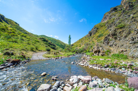 Enjoy the serene beauty of nature in a mountain canyon. See how the river flows gracefully through the rugged rocks. Feel the peace and tranquility of the majestic mountains.の写真素材