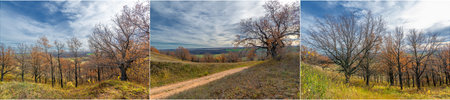 The change of seasons is a great time to enjoy nature. Autumn brings bright foliage and a cozy...