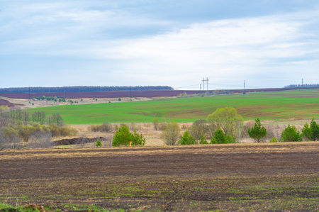 An agricultural application for farmers to track the growth and yield of crops. Optimize crop production using data analytics.の写真素材