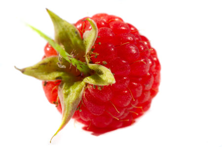 Raspberry. it is a healthy, tasty berry that consumers should enjoy during the summer months....