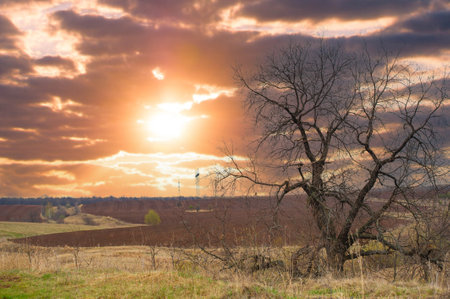 Experience the beauty of nature's canvas at sunset Capture the breathtaking colors as the sun sets over the plowed field Enjoy a picturesque backdrop for relaxation and tranquilityの写真素材