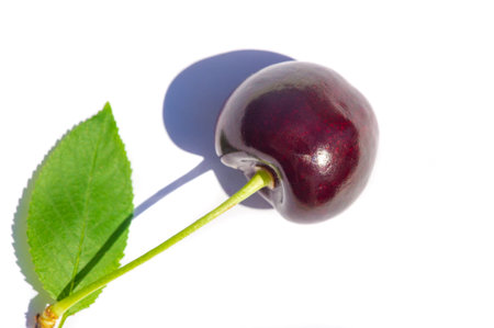 The cherry is the main subject of the photo. The shot was taken against a plain white background to draw attention to the cherry. The image shows the natural beauty and vibrant color of the cherry.の写真素材