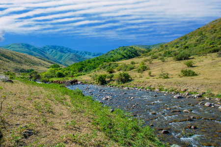 Immerse yourself in the beauty of nature. Experience the magic of a mountain river. Let the soothing...