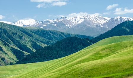 Mountain landscape with green meadows and snow-capped peaksの写真素材