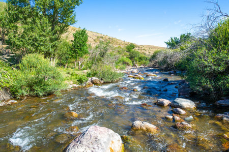 Immerse yourself in the majestic beauty of a mountain river. Listen to the whispers of ancient magic...