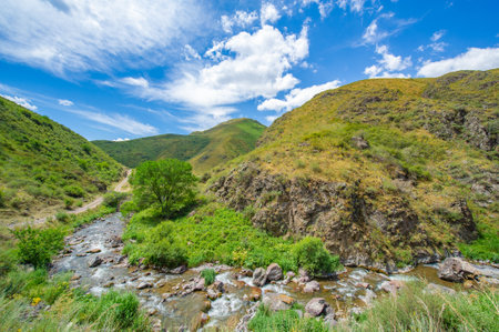 Enjoy the serene beauty of natural landscapes. See how the river gracefully flows through the rocky canyon. Immerse yourself in the heart of majestic mountain landscapes.の写真素材