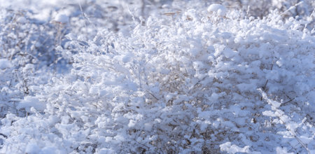 The mountains. Winter. I may be a little biased, but I don't think there are more romantic places than the mountains in winter. Wrapped in snow, these are majestic peaks for you to enjoy.の写真素材