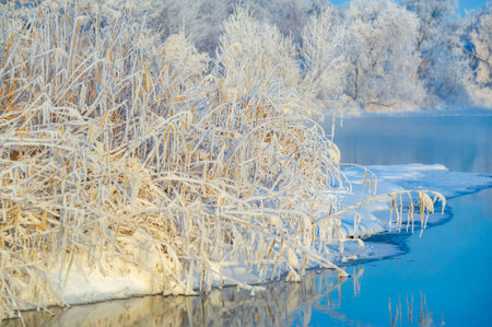 Enjoy the spectacular beauty of a winter sunrise. Witness a frozen masterpiece of nature on a serene...