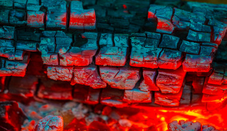 Firewood creates a cozy and warm atmosphere The flame is bright and energetic Burning wood gives any...