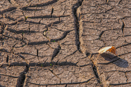 Experience the unique texture created by the spring sun on the surface of the Earth. Discover the...