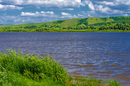Summer landscape, river floodplain, picturesque shores, bright green grass with wild wildflowers, blue sky with white clouds, summer tender warm days,の写真素材