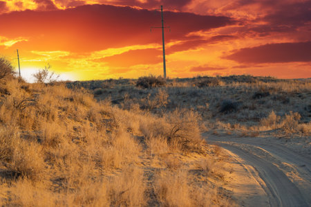 Enjoy the stunning beauty of autumn in the desert. See how nature paints a golden masterpiece with vibrant hues. Witness the breathtaking embrace of the sunset over the dunes.の写真素材