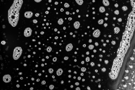 Soap suds create a bubbly texture on the surface. The detergent leaves a shiny residue on the plate. The black plate creates a contrast between the white soap suds and the detergent.の写真素材