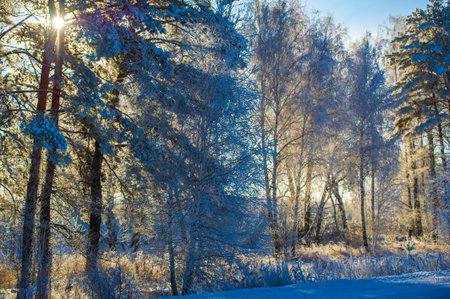 Experience the magic of a snow-covered field. Immerse yourself in the pure joy of winter fun....