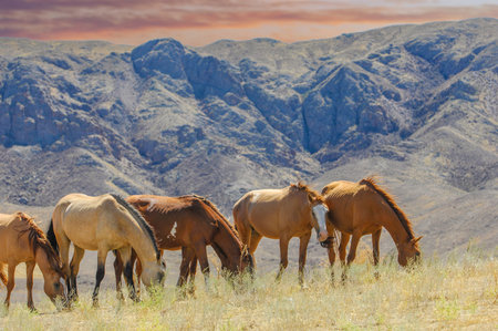 Enjoy the beauty of wild horses grazing in their natural habitat. Discover the unique landscape of...