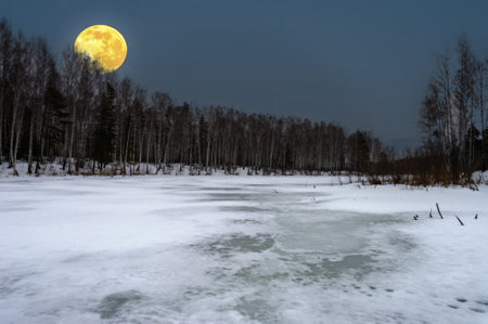 Gorgeous spring photo capturing the beauty of the river in the snow and ice Feel the awakening of nature when the river comes out of hibernation Stunning shots of a birch grove, picturesque landscapesの写真素材