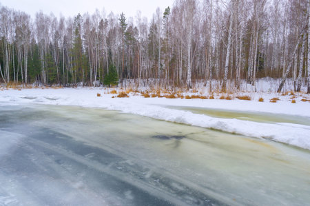 Capture the beauty of spring awakening in nature. Photograph the transformation of snow and ice into flowing river water. Showcase tender birch trees surrounded by a grove.の写真素材