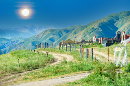 Enjoy hiking and running in the foothills. Enjoy stunning views of the majestic mountains. Relax and unwind in the summer sun in the foothills.の写真素材