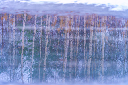 A stunning collection of spring photos featuring water reflections on ice. Feel the awakening of...