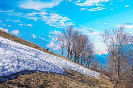 Capture the beauty of the changing seasons. Witness the transition from winter to spring. Experience a peaceful and serene atmosphere during sunset.の写真素材