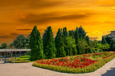 Visit a botanical oasis where vibrant flowers and tall trees create the perfect setting for a peaceful stroll or a sunny picnic. Experience tranquility at its best. Flower Haven. Nature Walkの写真素材