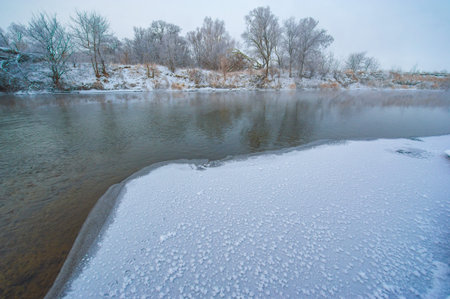 Winter Wonderland is a peaceful and serene place. The sun creates a beautiful golden light on the...