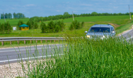 Spring photography, landscape, local road, belonging or relating to a particular area or neighborhood, typically exclusively so.の写真素材