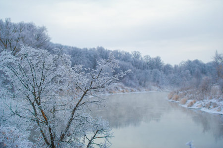 The frozen river reflects the golden light of the sunrise. A winter wonderland filled with serenity...