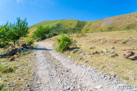 Experience the thrill of off-road driving through rugged mountainous terrain. Overcome challenging obstacles and breathtaking landscapes. Test your skills and conquer the adventure on dirt roads.の写真素材