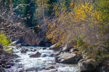 Enjoy the enchanting beauty of the spruce forests. Immerse yourself in nature and escape the hustle...