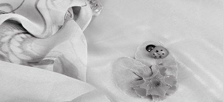 seamless. the black and white colors of the fabric are inlaid with flora and fauna.の写真素材