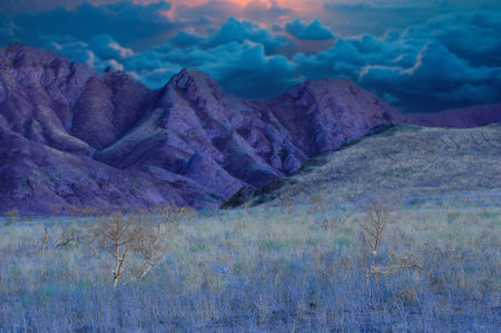 Enjoy the breathtaking scenery of the steppe. Walk along the striking cliffs and witness the winding river. Capture stunning sunset hues in their most dramatic form. Experience the wildの写真素材