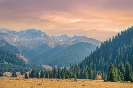 Enjoy the beauty of autumn in the Tien Shan mountains. Take a relaxing stroll surrounded by lush greenery and pine trees.の写真素材